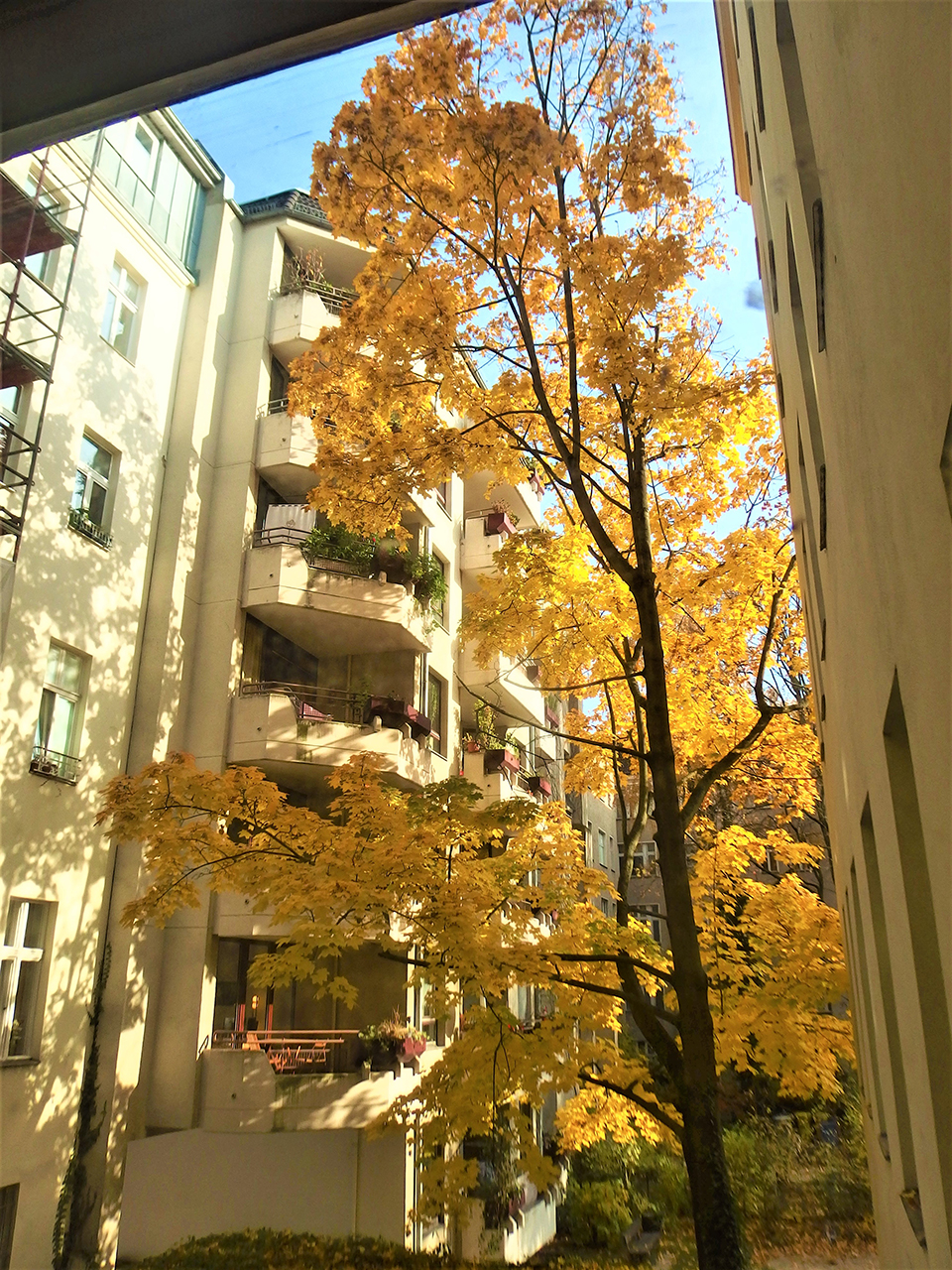 ベルリン自宅の窓から・秋
